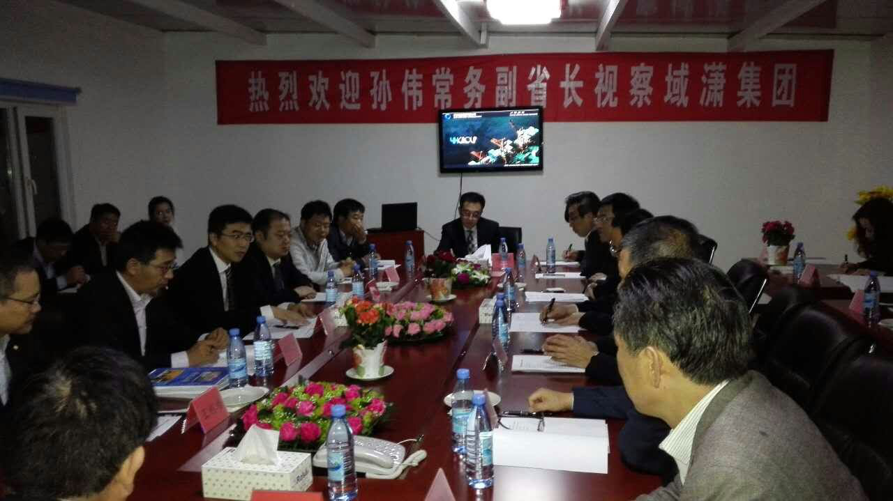 山東省常務(wù)副省長孫偉一行視察域瀟集團